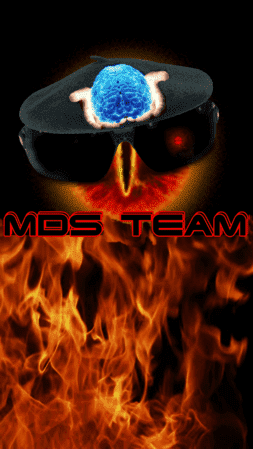 mds team 18.png