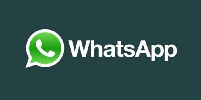 media.androidphoria.com_wp_content_uploads_WhatsApp__700x350.jfcdff22d7f12b8b3d6cdd41d391886c6.jpg