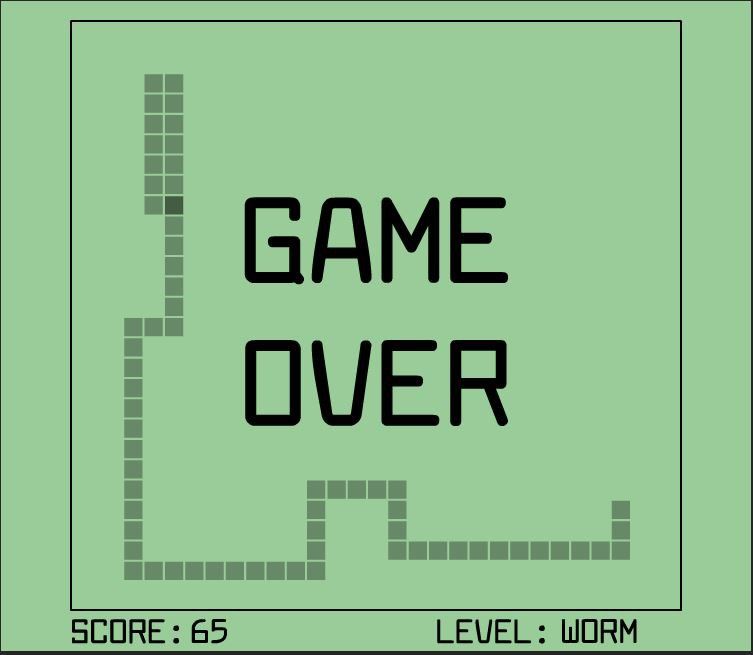 midlvl.JPG