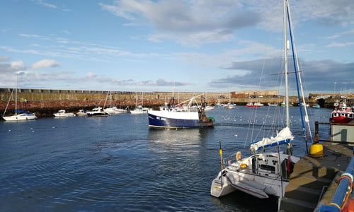 nubia_z20_harbor_1-500x300-c.jpg