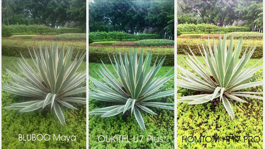 OUKITEL U7 Plus camera vs Bluboo maya vs Homtom HT17 pro (3).jpg
