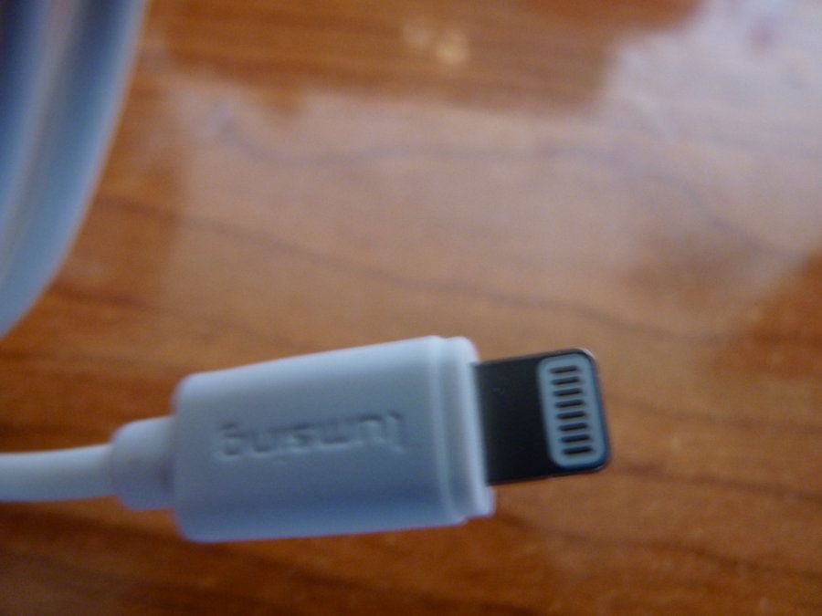 P1010731.JPG
