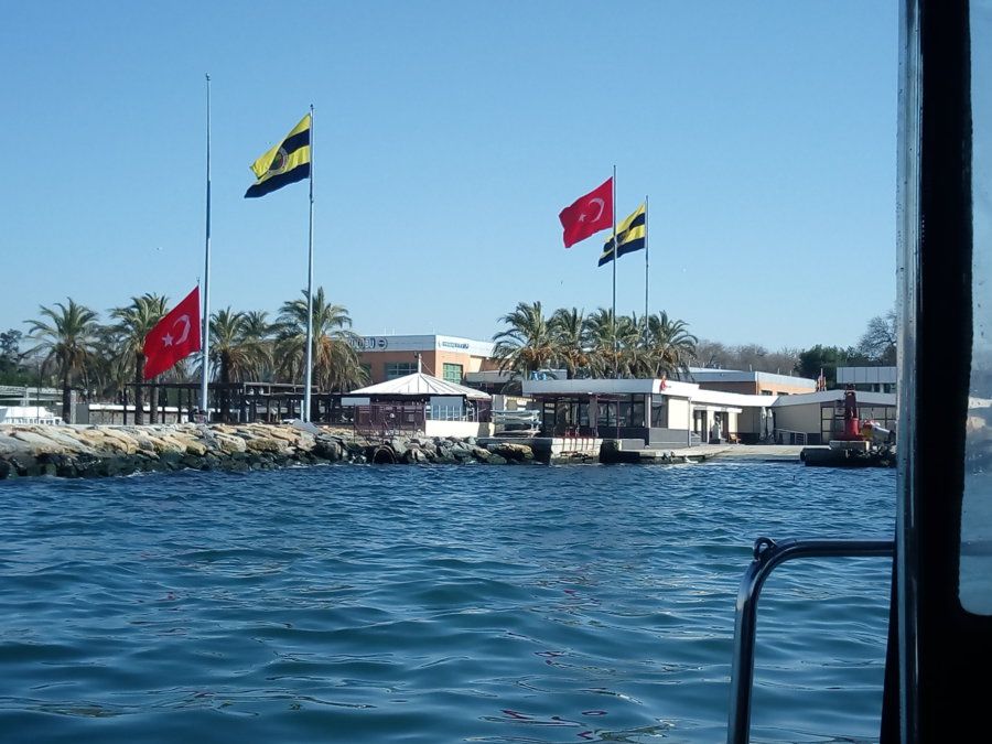 P60222-141101.jpg