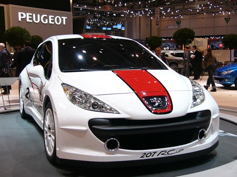 paelroma.net_rodrigue_GFX_peugeot_207_rc_1.jpg