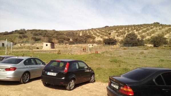 paisaje1.jpg