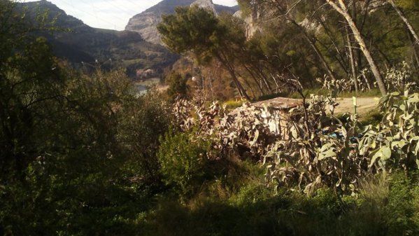 paisajes07.jpg