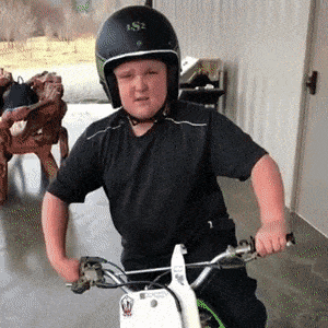 PaleUniformFieldspaniel-size_restricted.gif