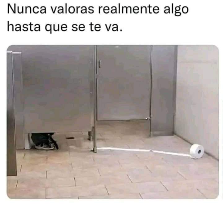 papel wc.jpg
