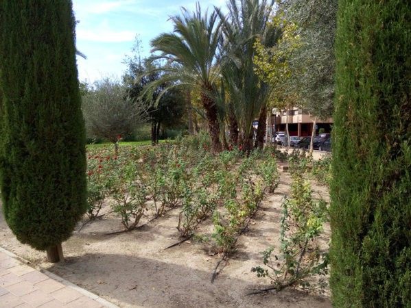 Parque.jpg