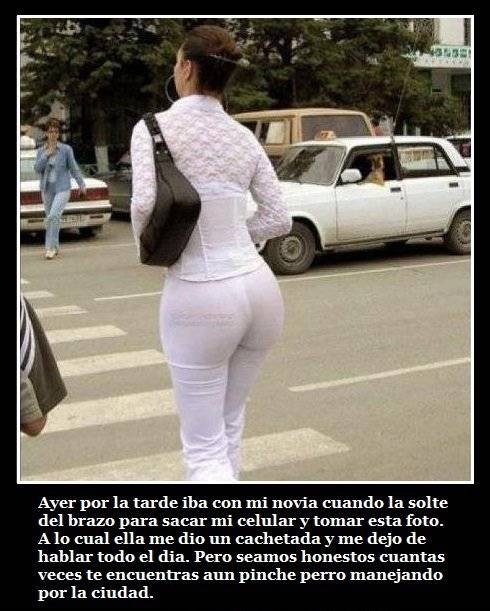 perro conduciendo.jpg