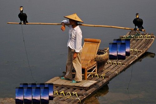pesca_cormoran.jpg