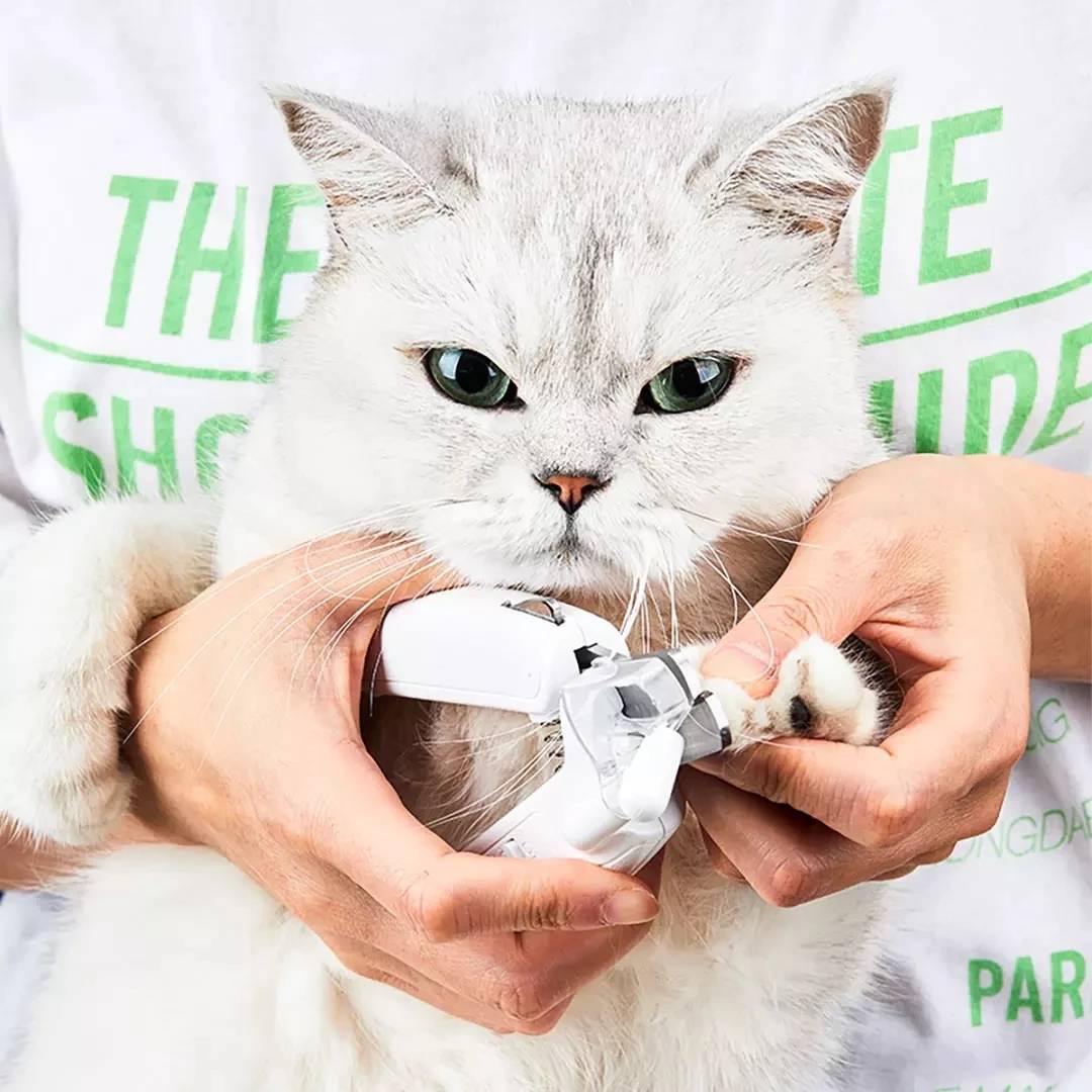 PETKIT-LED-Light-Nail-Trimmer-Professional-Pet-Dog-Cutter-Cat-and-Dog-Nail-Clipper-Beauty-Scis...jpg