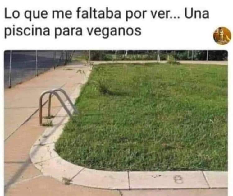 piscina reformada.jpg