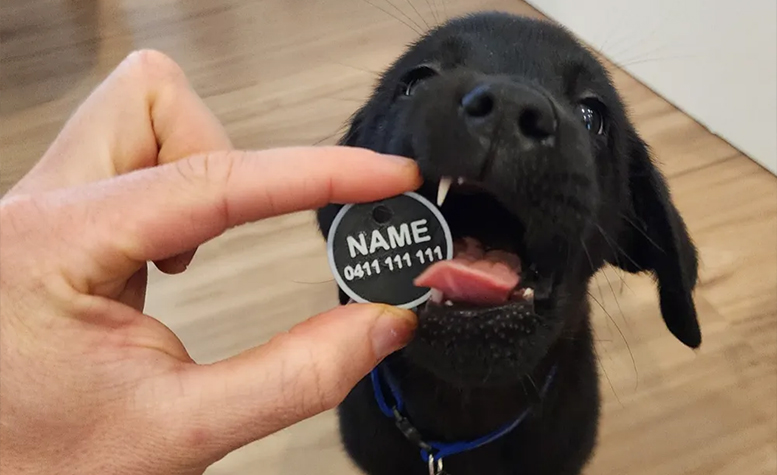 Placa-Identificativa-impresa3D-Mascota.jpg