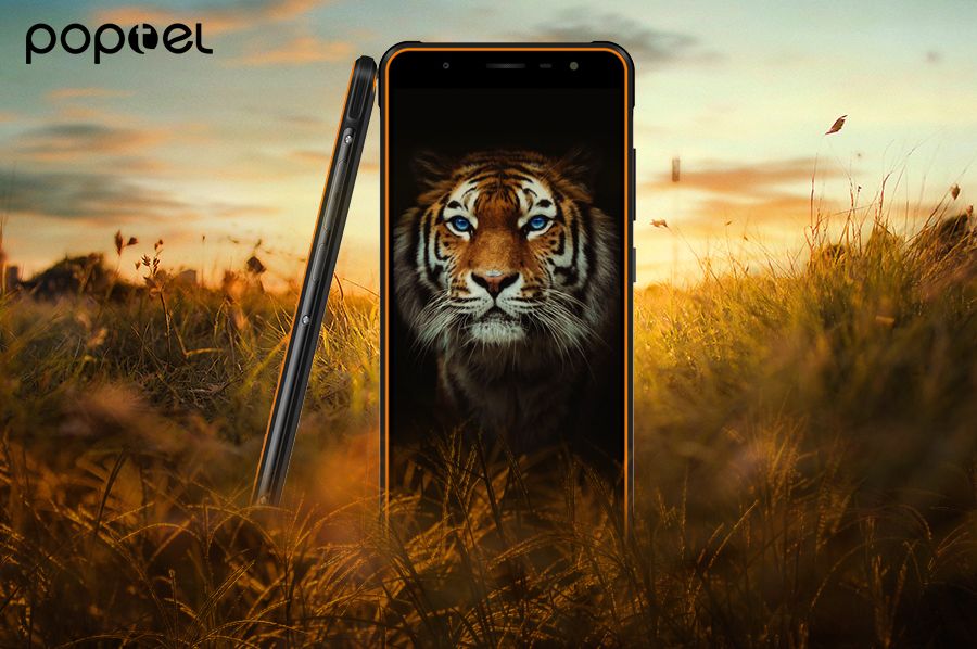 Poptel P10  (2).jpg