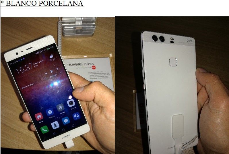 Porcelana.jpg