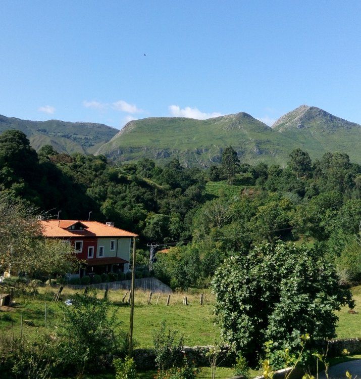 Porrua2014.jpg