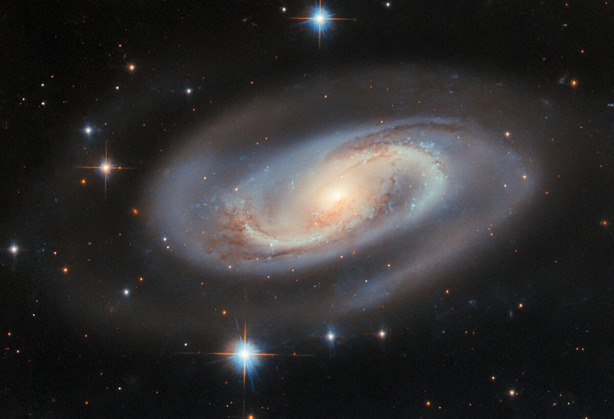 potw2525a.jpg