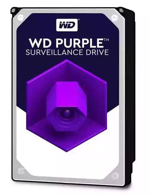 Purple-e1576057432412.jpg