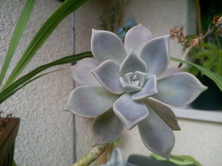 QQ图片20140624101104.jpg