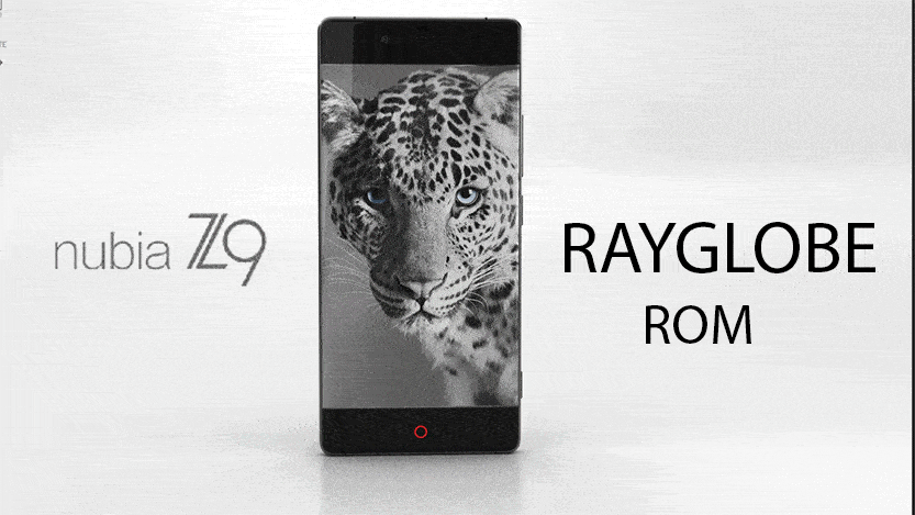 RAY-ROM-.gif