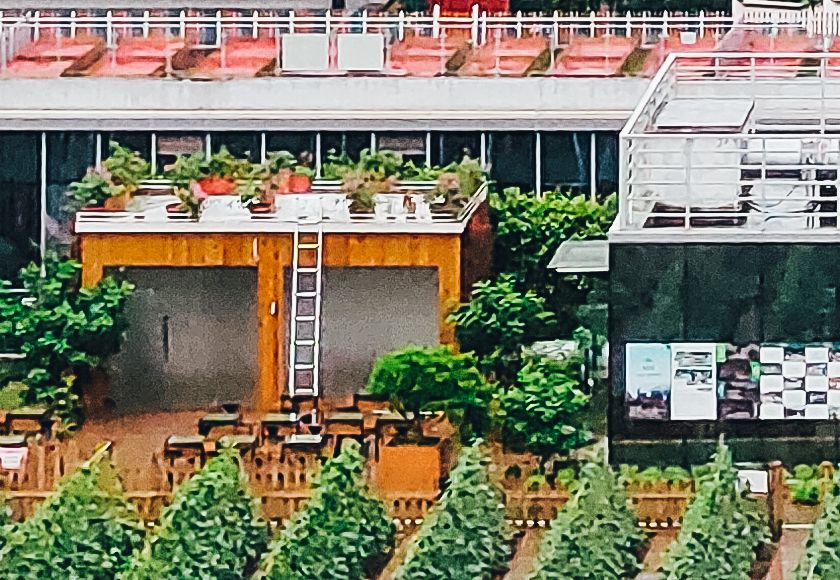 Redmi-64MP-sample-shot-1-crop-100.jpg