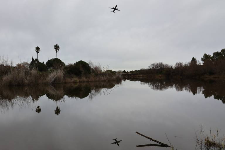 reflejo avion.jpg