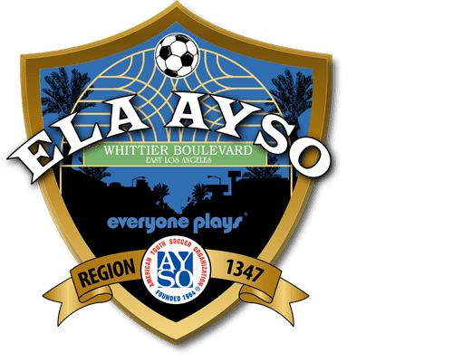 region1347.newsites.activeyouthnetwork.com_files_2015_09_500x400.png