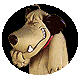 risa-y-cara-riendo-imagen-animada-0003.gif