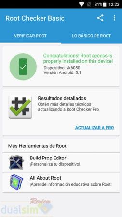 Root.jpg