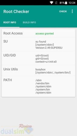 Root2.jpg