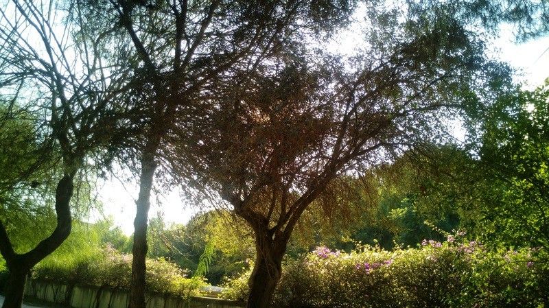 s22.postimg.org_55u6eg38x_CONTRA_LUZ.jpg