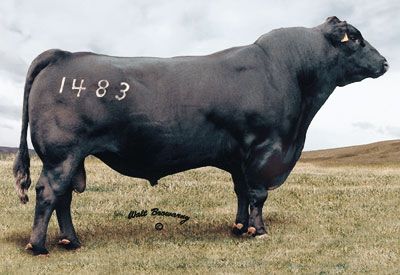 s25.postimg.org_6kbxabqsf_rr9440scotchcap1483.jpg