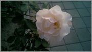 s5.postimg.org_7l8ywpepf_htc_6.jpg