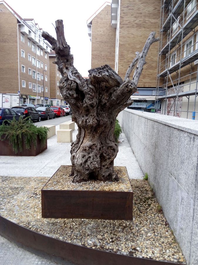 s5.postimg.org_95dpu49pz_image.jpg