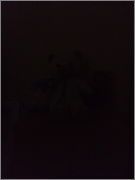 s5.postimg.org_rwezzlwrn_oscuridad_sinflash_1m.jpg