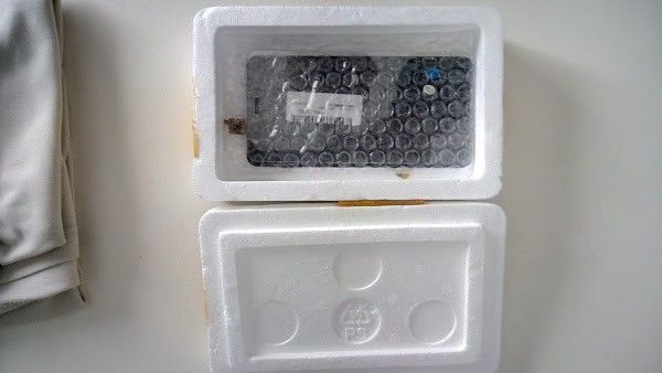 S9il9-Ne5SbY-0kzVHw39LRlCpwnqOZv1Ejtu9WpE2yx9kWDBq1XAZ6pXJ6JtyvshRftiKBDXatl1Xs4yhTo0fJ9Kw=s600.jpg