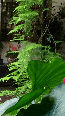Screenshot_2015-05-11-15-01-27.png