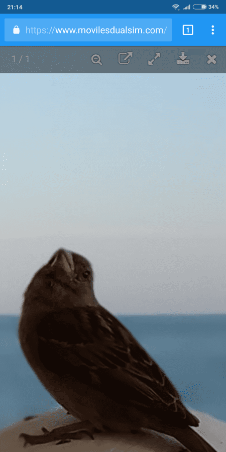 Screenshot_2018-05-26-21-14-43-127_com.android.chrome.png