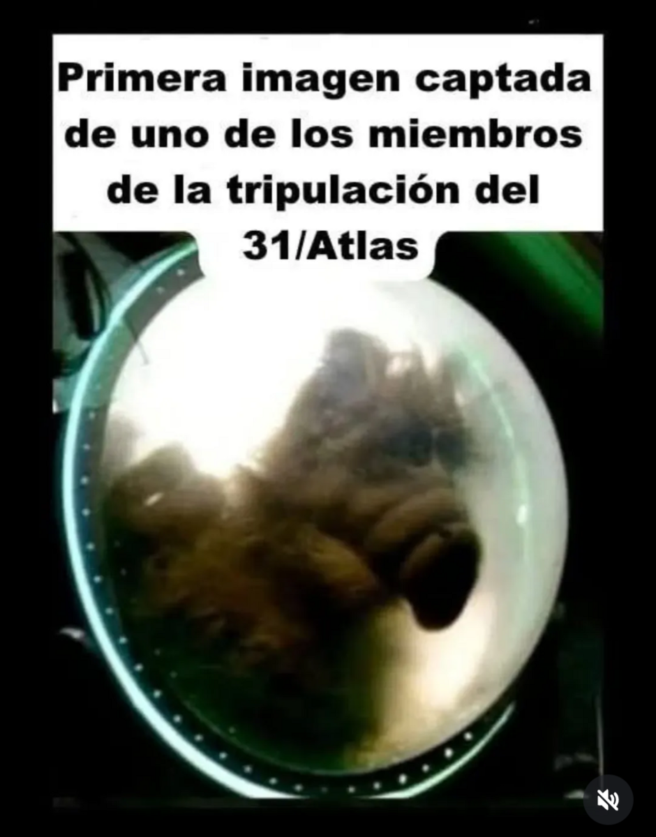 Screenshot_20251023-001938.png