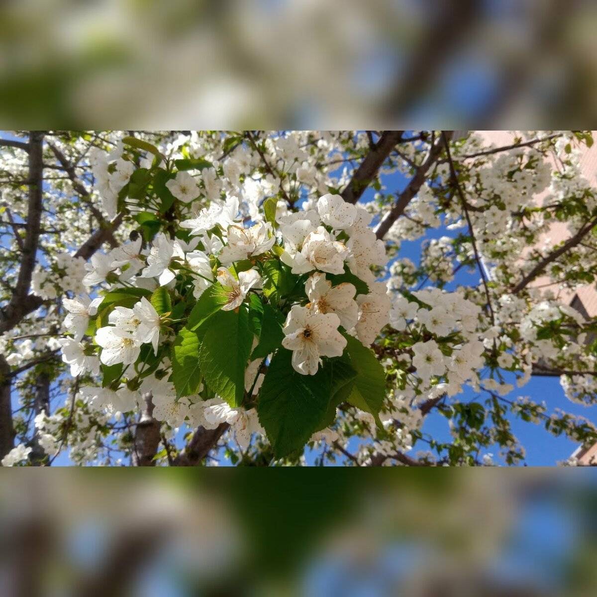 SquarePic_201932814156678.jpg