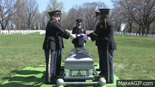 sv2oc05jygkk6t5n27bsw9kznko1xqhe7t0icqws&rid=giphy.gif