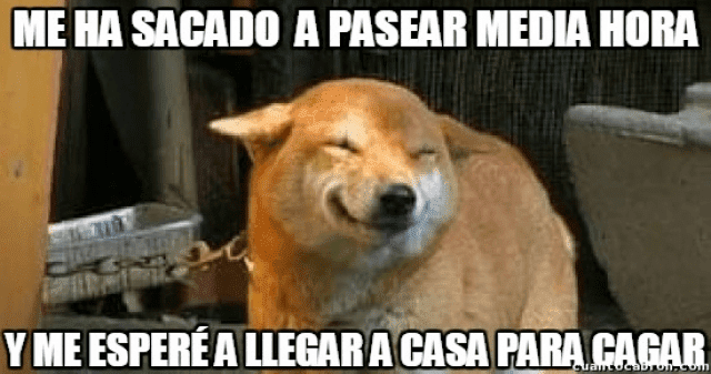 t3.ehcdn.com_es_images_0_2_7_img_queee_perro_12720_640.png