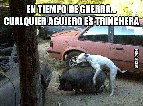 tapatalk.imageshack.com_v2_14_11_11_1d7be09c896354a6e707a35feab3dc7f.jpg