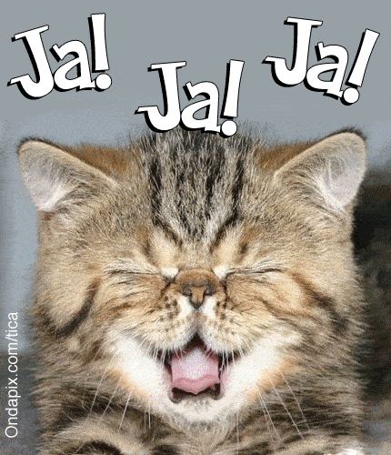 tarjetit.as_content_uploads__images_mayo2014_17672.gif