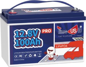 timeusb-100ah-300x236.jpg