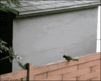 tumblr_o6vb7hLWnH1tlb56zo1_400.gif