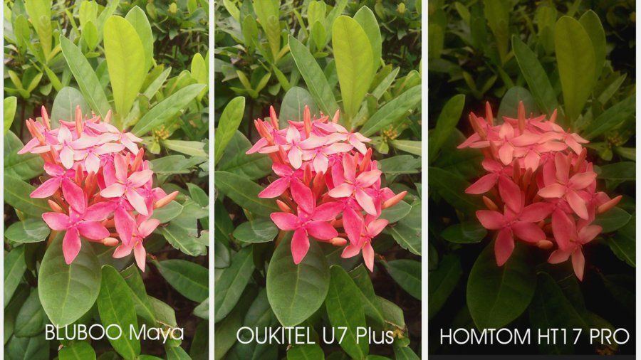 U7 Plus camera vs bluboo maya vs homtom ht17 pro-2.jpg
