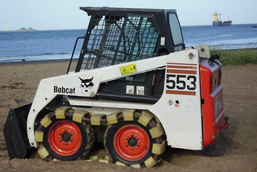 upload.wikimedia.org_wikipedia_commons_d_d0_Bobcat_553.jpg