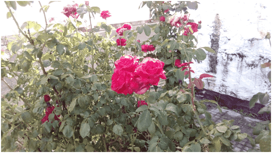 upload_2015-6-15_16-31-37.png